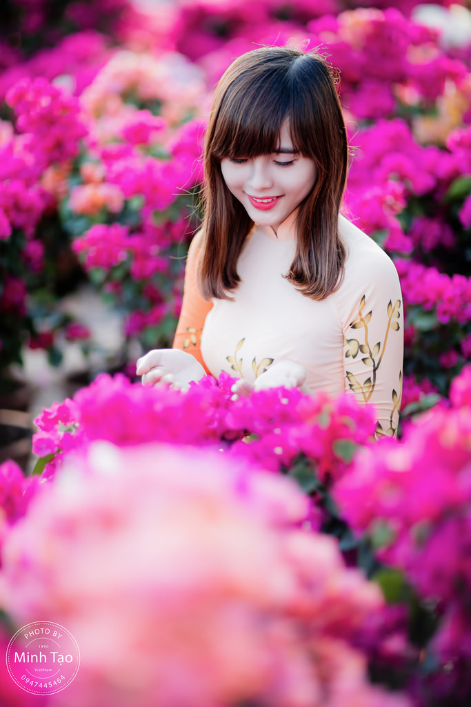 邻居家的麦子